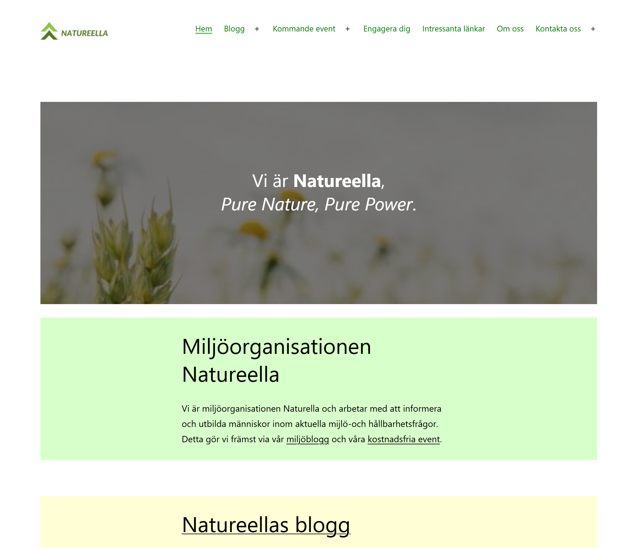 Bild från startsidan på den fiktiva miljöorganisationen Natureellas webbplats.